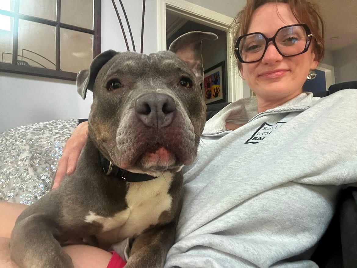 hsmo's tweet photo. Allegra would like to know if you have room for one very snuggly girl 🥰

This #FosterFriday we're featuring Allegra! She is a sweet 3-year-old Staffordshire Terrier mix! ❤️

Email foster@hsmo.org to schedule a meet &amp; greet! 🐾 https://t.co/Oz4etKSbWp