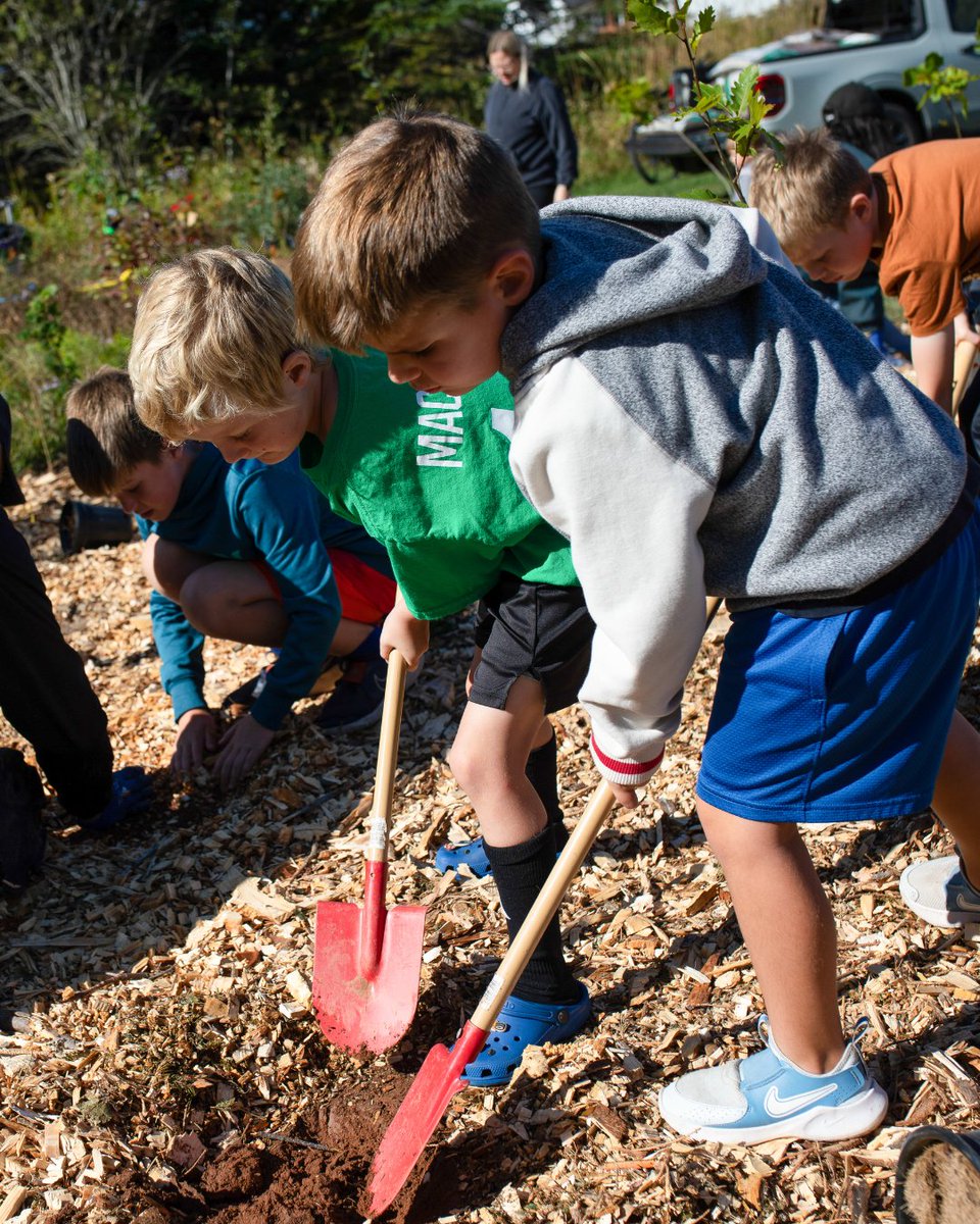 TreeCanada's tweet photo. Are you still looking to make an impact on National Tree Day? It's not too late! Donate or start a fundraising team to help grow more climate-resilient communities across Canada. Donate now: https://t.co/D7o7JDjb1S #NTD2026 https://t.co/EYvyIOaC6H