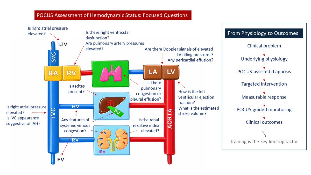 NephroP's tweet photo. Hemodynamic circuit-based #POCUS assessment in #AKI organized around focused clinical questions.
#Nephpearls 
🔗https://t.co/2BNNLNEm1a
*Not all questions, or the sonographic parameters used to answer them need to be applied in every patient, and the approach should be tailored to the clinical context. The inset highlights the translation of physiologic assessment into POCUS-informed clinical decision making, targeted intervention, and monitoring, with training as a key determinant of effective implementation.