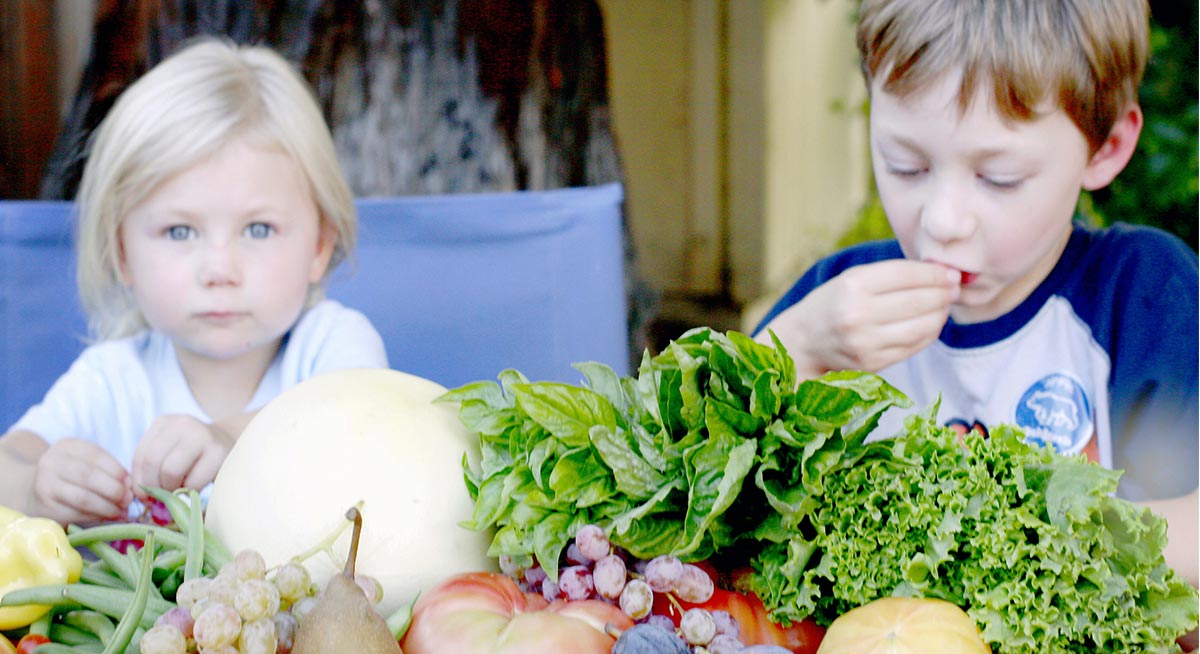 farmfreshtoyou's tweet photo. Earn Money for Your School
Through our Healthy Fundraiser, you can easily earn money for your school (year round!) while also promoting healthier eating habits. Learn more about our program and how you can start raising money for your school this year! 
https://t.co/MZPnRILxyN https://t.co/XKrheJBfxN