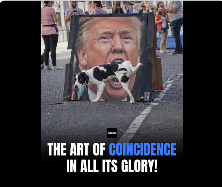 iancollenette1's tweet photo. What perfect timing for the photo. 😅
  Borrowed from Inspire part of Demotivateur. https://t.co/Ka8l73X7NR