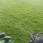 Photo by Sean lloyd - Agronomy (@seansvl)