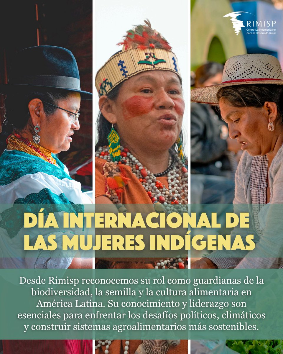 Rimisp's tweet photo. 🌾💜 Día Internacional de las Mujeres Indígenas 

Desde @Rimisp reconocemos su rol como guardianas de biodiversidad, semillas y cultura alimentaria en AL. Su conocimiento y liderazgo son clave ante desafíos climáticos para sistemas sostenibles 🌿 https://t.co/e7RsozBBIA