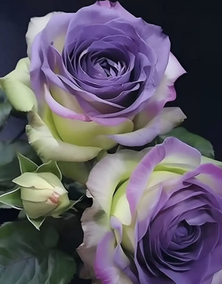 AldosariFathima's tweet photo. https://t.co/SFoEXR8NAc
