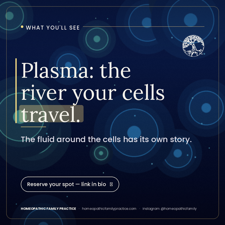 HFPInsider's tweet photo. #HFP #Microscopy #DarkfieldMicroscopy #Cells https://t.co/ERK4pNuE4J