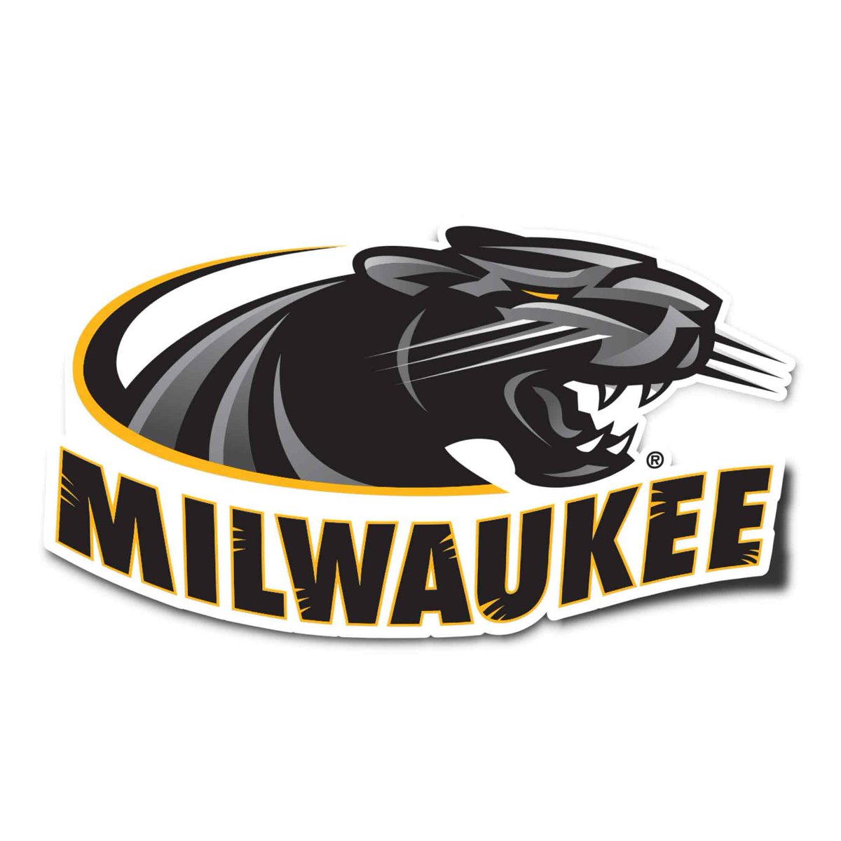michael_grzesk's tweet photo. Blessed to receive my first Division 1 offer to the University of Milwaukee #blessed https://t.co/lYXVVL6TsJ
