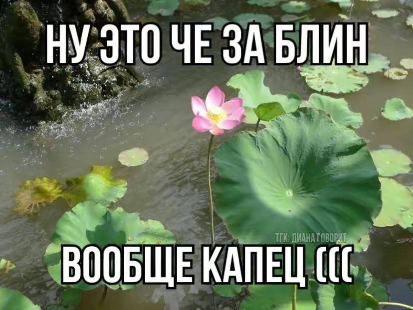 luer1wmn's tweet photo. я хочу познакомится со своей одноклассницей , но она слишком красивая. мне страшно , что меня пошлют нах��й https://t.co/LRA9vjcZNy
