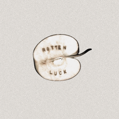 SANDSPRINGSQ tweet picture