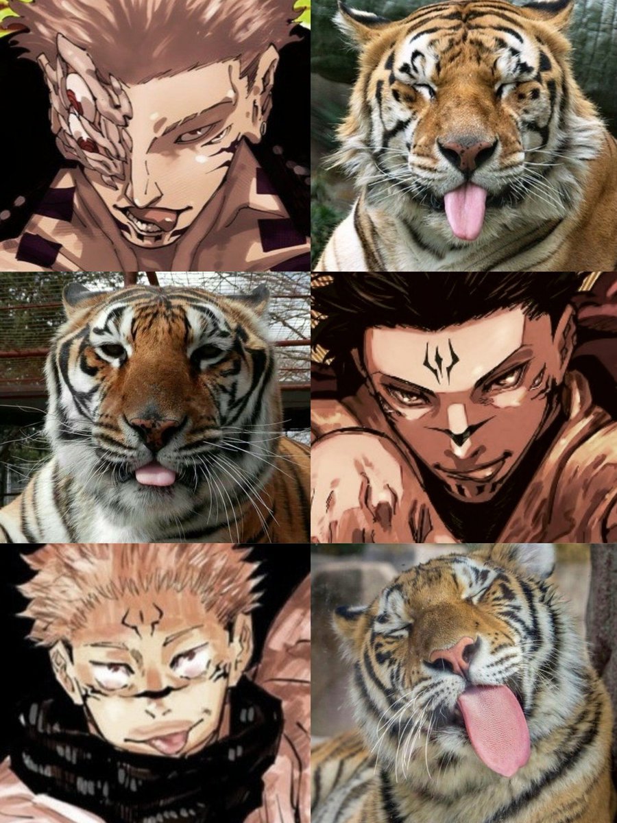 anime_shots's tweet photo. Same energy https://t.co/c1080c8f3y