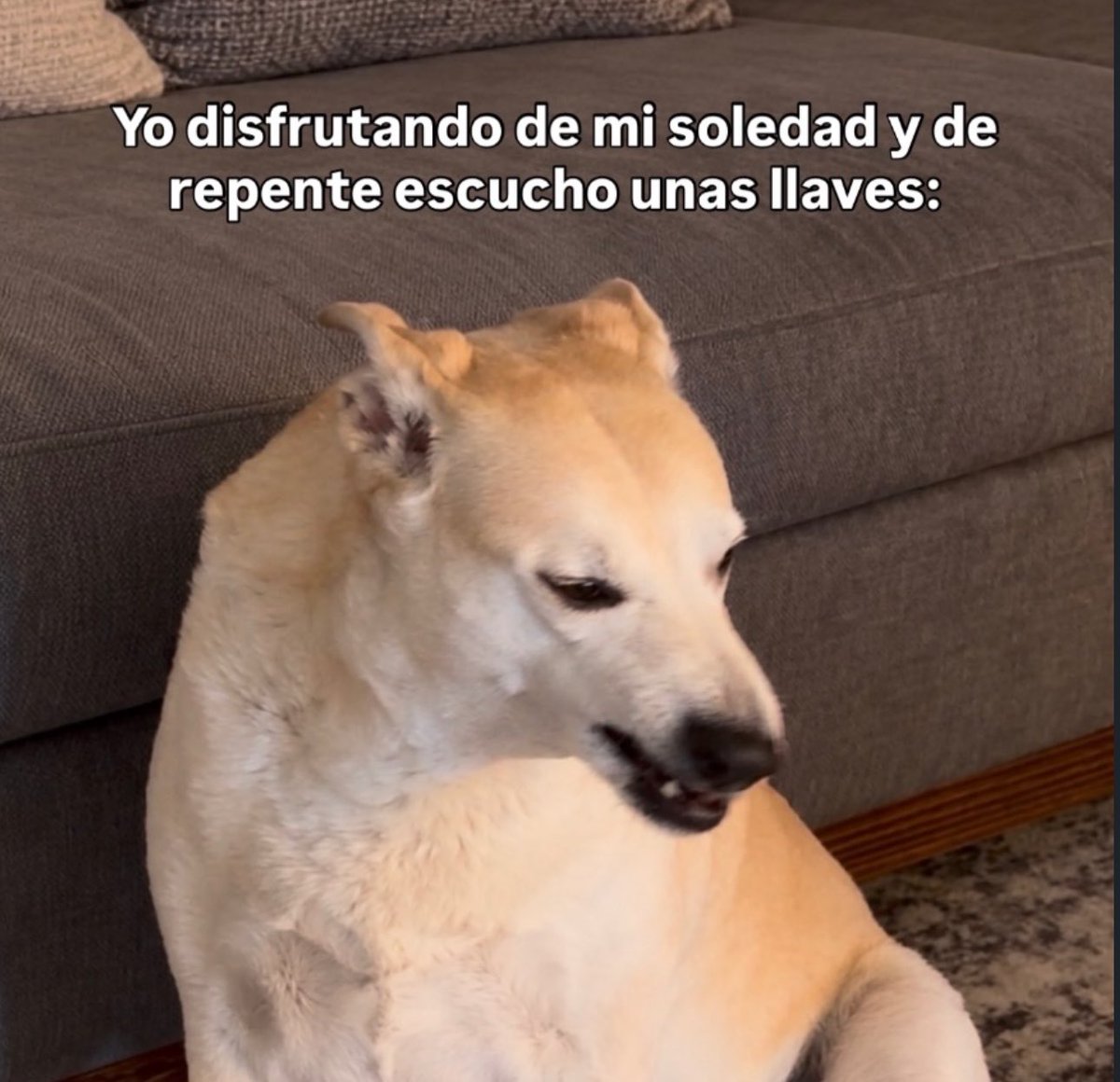 skereunpesado tweet picture