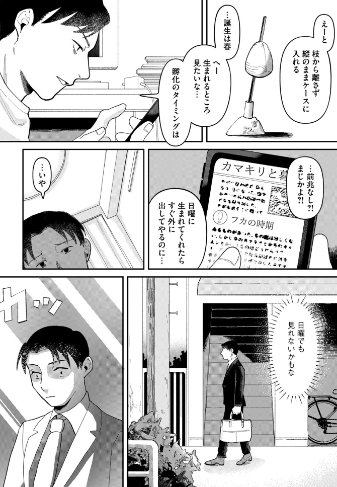 HamelnFilgaia's tweet photo. 「社畜がカマキリの卵を飼う話か……面白い題材だ。あんま見たことないかも」と読み始めましたが
前半で作中のモチーフが一気に繋がって「そういうことか～！」ってなるとこが気持ちよすぎましたね

厳しい冬、いつか来る夢見た春か……

【コミックDAYS読み切り】線形虫の夢
https://t.co/toicw1AgPa https://t.co/hYNmrVsylS