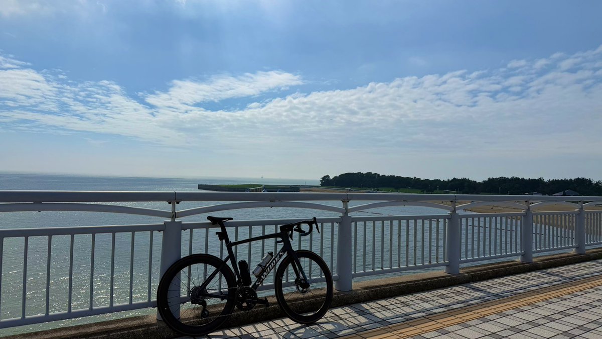 s_agito's tweet photo. 久しぶりに見た青空☀️良い！！
そして5年使っていたインソールをRN！
同じReveのワットインソールに
これで少しでもパフォーマンスアップに繋がると良いなぁ😉 https://t.co/d71Gs0R5T0