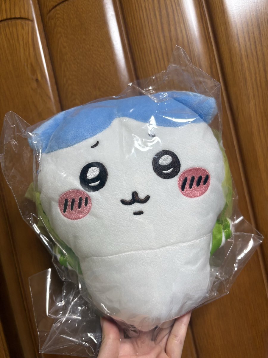 ttttt_ht's tweet photo. しぬほどかわいい https://t.co/QlK4TaMcJ0