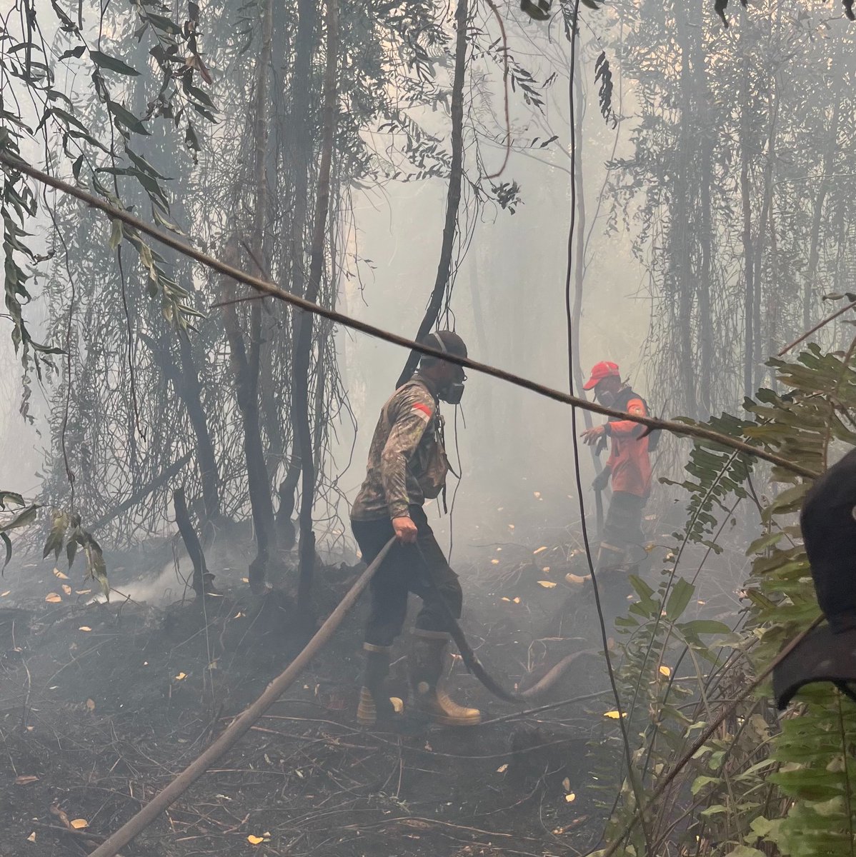 greencitzen's tweet photo. ❗️TETAP BERISIK❗️

Kalimantan hari ini masih terbakar! 

Kualitas udara makin buruk! https://t.co/EcQU4D6hRC