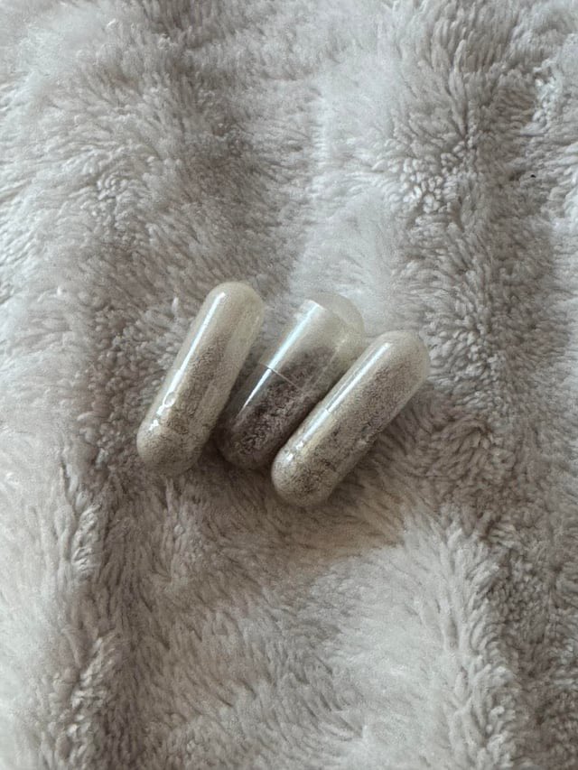 flexxyink's tweet photo. Found these in our backyard,any idea on what they are? They have some color or texture inconsistencies between them https://t.co/w6Acbku9QK