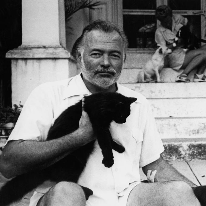 sivriikalemler's tweet photo. “Dünya herkesi kırar ve sonrasında pek çokları kırıldıkları yerlerde güçlü olurlar.”
— Ernest Hemingway

İnsanın en güçlü olduğu yer, çoğu zaman en çok yara aldığı yerdir.

Bazı acılar bizi eski hâlimize döndürmez. Güvenimizi kaybettiğimiz yerde daha dikkatli, yalnız kaldığımız yerde daha güçlü, kaybettiğimiz yerde neyin gerçekten değerli olduğunu bilen biri oluruz.

Çünkü insan her zaman acının içinden geçerek iyileşmez; bazen acının kendisinden yeni bir güç inşa eder.