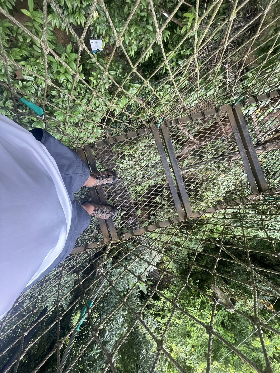 chitwan777's tweet photo. ここは本当に素敵な場所
緑は体いっぱいに感じることのできる絶景
おすすめです^ ^
#ルアンパバーン
#Luang Prabang
#Laos https://t.co/4Nftf5UIfR