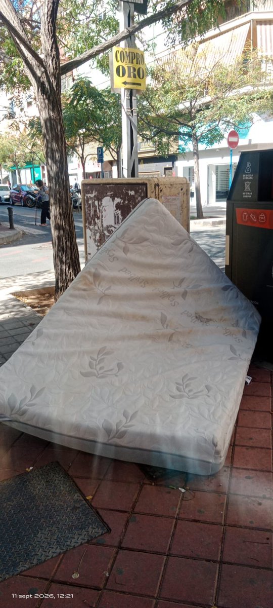 CALalicante's tweet photo. En #Alicante podrás ver colchones por doquier. En cualquier barrio, rincón o parque te los puedes encontrar. @Alicante_City mirar que recuerdo tan bonito se la ciudad.
#MerdAlacant #UnDestinoDóndeNoIr.
#Cal 
@AlacantUnir https://t.co/8jnMsa0lJw