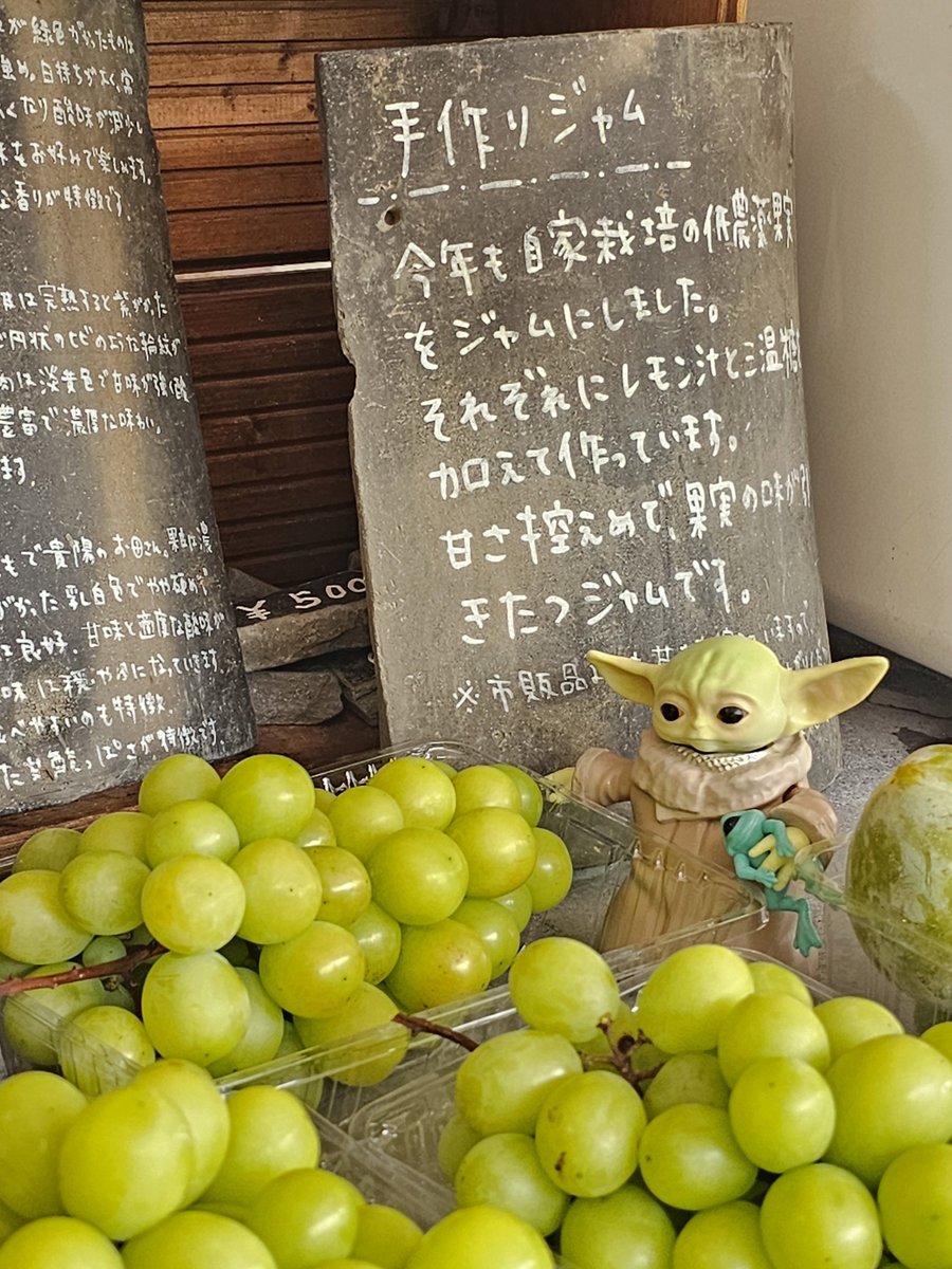 Grogutrip's tweet photo. とれたて
���ャインマスカットー🌠

#Grogu 
#BabyYoda
#WhereIsGrogu
#グローグーがいる生活
#旅するグローグー🇯🇵
#山梨
#シャインマスカット https://t.co/vjUzeSoQbS