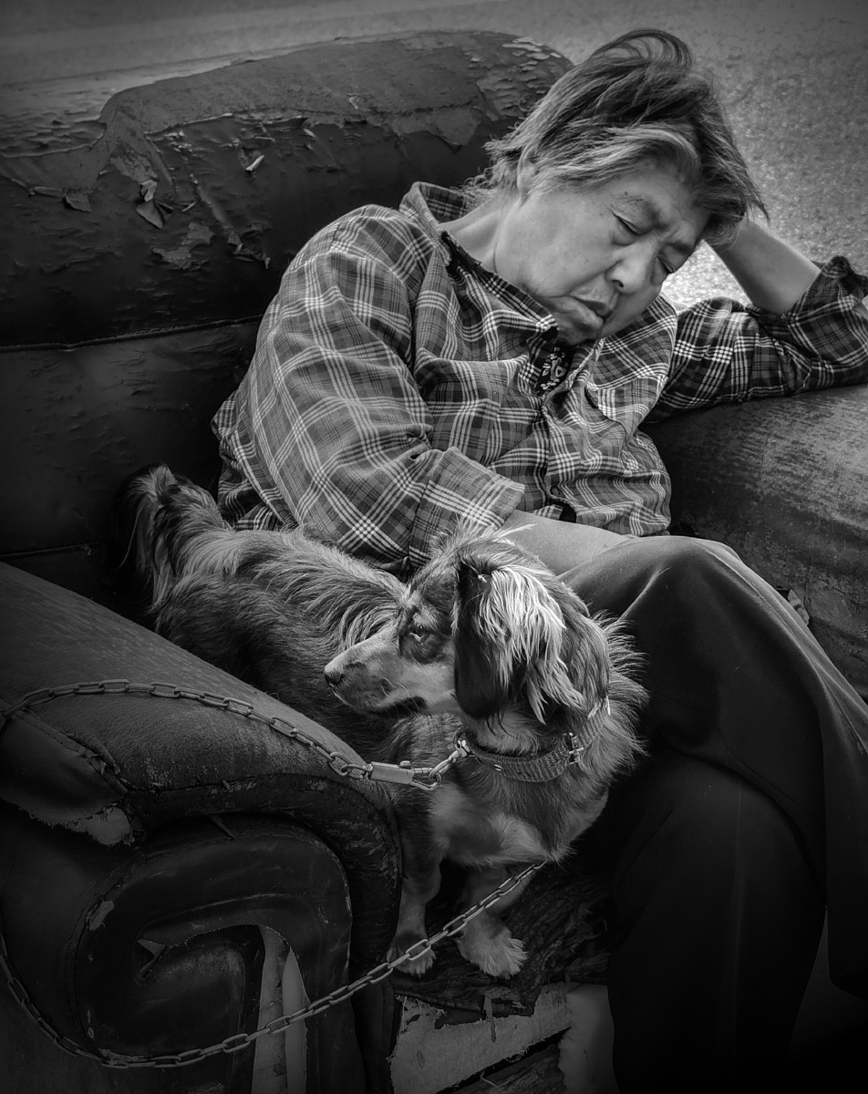 JustinL95808482's tweet photo. Every tired weekday needs a fluffy sidekick—my rescue pup’s cuddles turned my tough day around in 2 seconds. https://t.co/dAHDdcREzq