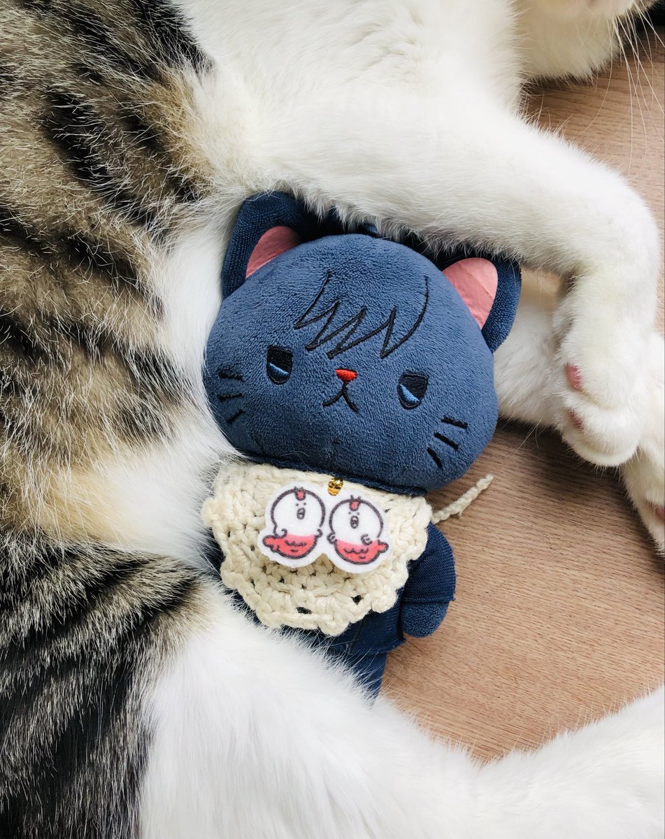 tomo18974858's tweet photo. 犯🐱にはめぐにゃんさんのふとんの刑 https://t.co/1ZeZA4tqXl