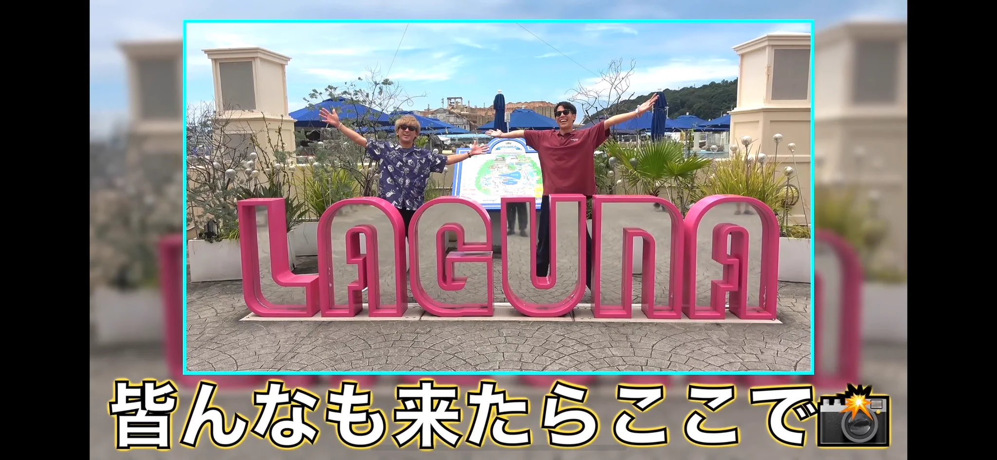 こちらあっかページです！ みしやま🐟🐥🎠🎨🦭 on X / X