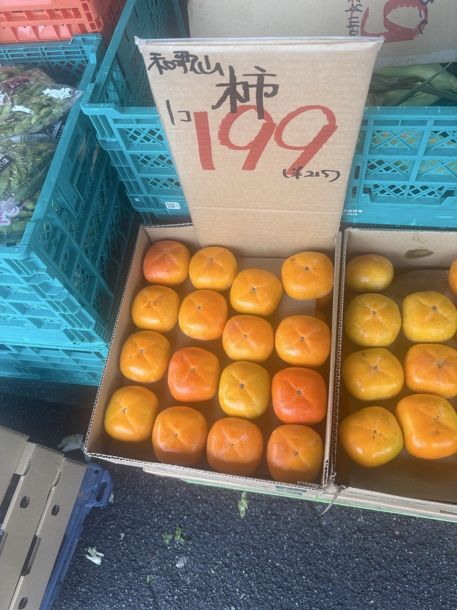 mindhorieten's tweet photo. 北海道産 #にんじん 1パック 99円🥕
➡️使い切りやすい小容量パック！！
フィリピン産 #パイナップル 1玉 100円🍍
茨城産 #かおり梨 1パック 499円🍐
和歌山産 #かき 1個 199円！！
#マインド堀江店 #八百屋 https://t.co/DXVVKylKiZ