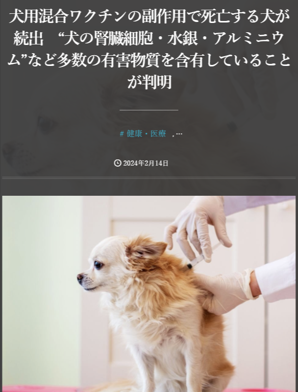 toshioo_7's tweet photo. 狂犬病ワクチン接種後に酷い腫れが。
https://t.co/1KbJcAW0Sh
そもそも狂犬病は存在しません。
人間だけでなく、犬にとってもワクチンは極めて猛毒です。
狂犬病は捏造された病気です。
https://t.co/2zKGPs7LJ8
https://t.co/u1LLMGfwxV
ワクチン利権が完全に消滅するようお祈りします！ https://t.co/BcwwwHdD2d