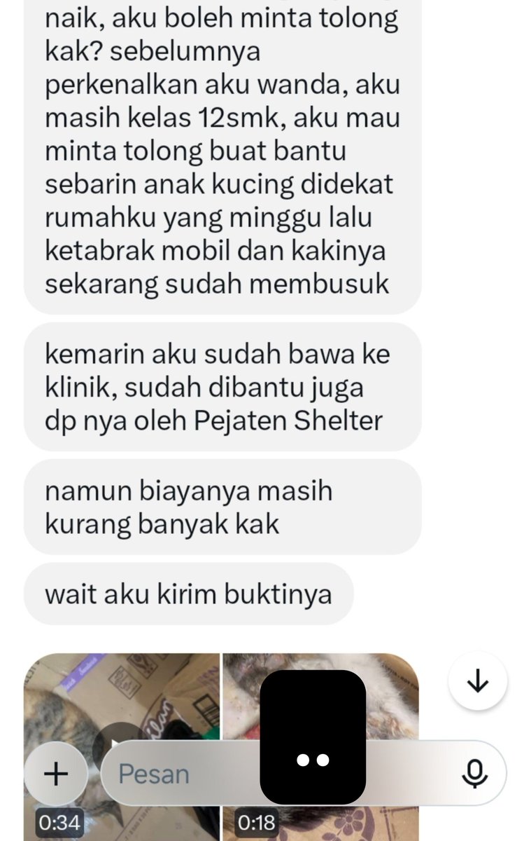 inthejunne's tweet photo. Urgent help RT 

(Titipan) Ada kitten ketabrak mobil dan harus diamputasi. Sekarang sudah op dan masih masa pemulihan. 

Kami open donasi seikhlasnya untuk bantu kitten ini berobat. Untuk pelunasan kurang sekitar 300-400k lagi. Bantuan langsung ke norek vetnya. Terimakasih 🥹🙏🏻 https://t.co/EWRjxdo8YW