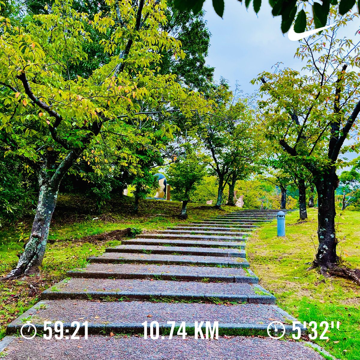 mellow73_blog's tweet photo. 朝ラン♪
ツクツクボウシの声…
色んなところで聞こえます

#朝ラン #ランニング 
#ツクツクボウシ 
#声 #聞こえる 
#9月 #初秋 #福岡 https://t.co/w51Hh1VP7T