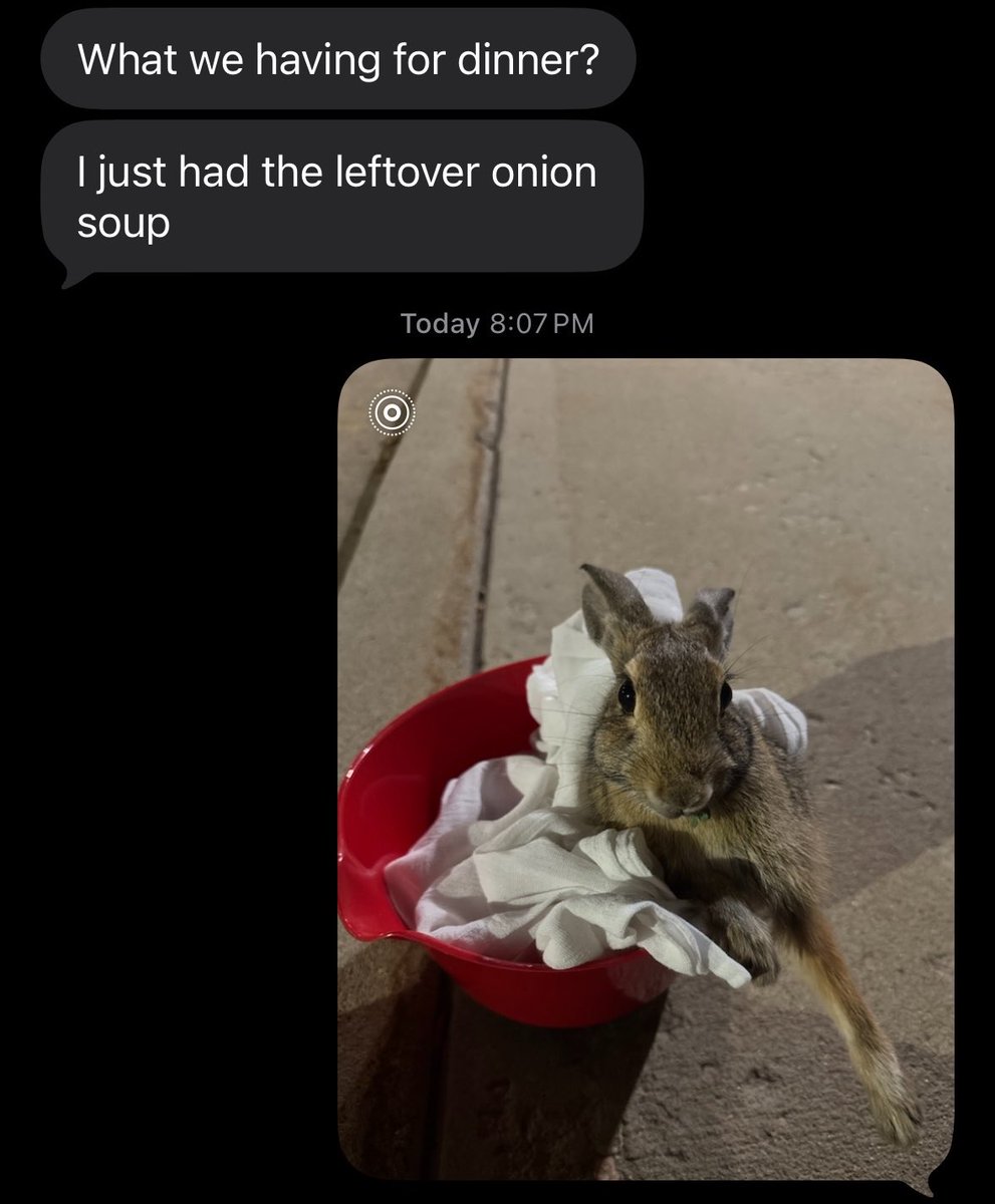 doeeyedglrl's tweet photo. sent my bf a pic of an injured bunny i found but it just looks like im the worst hunter gatherer of all time https://t.co/xJ95RQQay7