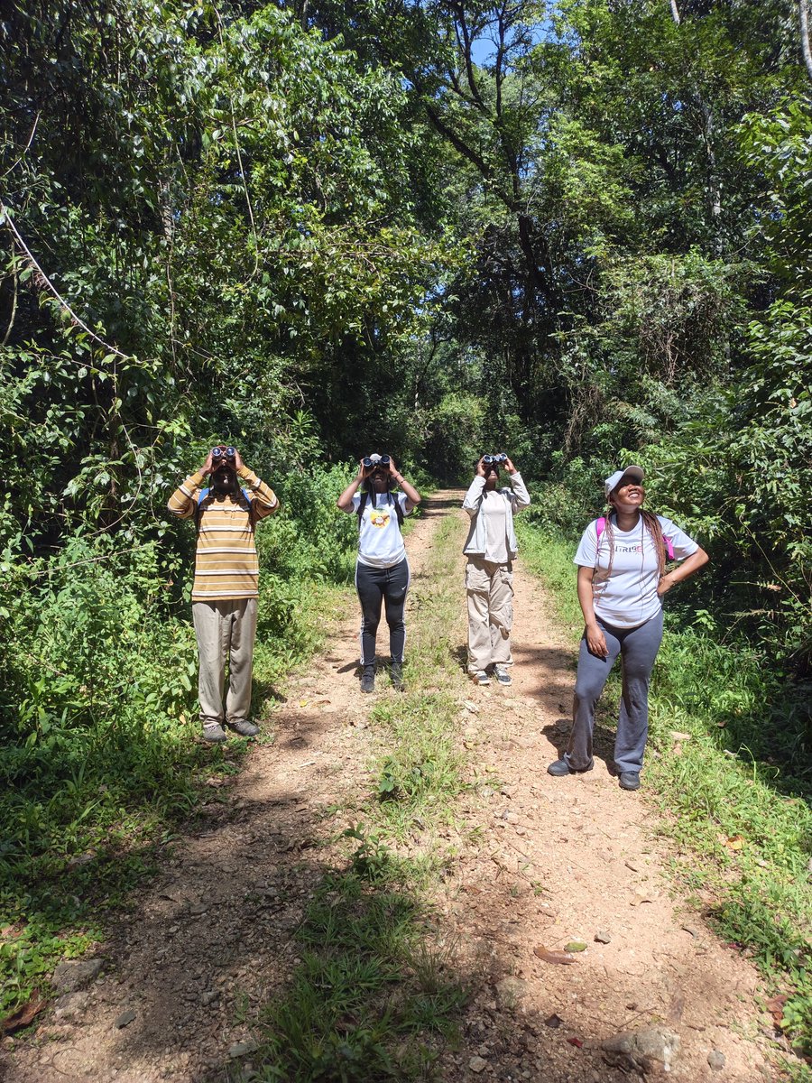 CompassAdve037's tweet photo. Looking up, slowing down, and discovering the beauty of nature! 

Our clients enjoying a bird-watching adventure in Kakamega Forest National Reserve. Ready to explore? 

DM Taliika Adventures to book your adventure!

#TaliikaAdventures #KakamegaForest #BirdWatching #ExploreKenya https://t.co/KEsMVw5tis