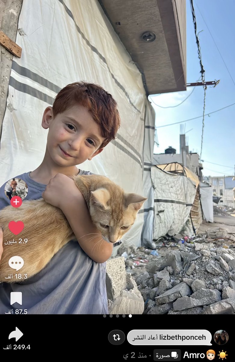 wri28t's tweet photo. من زمان ماشفت شيء بعث في داخلي الامل زي هالصور آخ ماشاء الله ☹️☹️☹️😢🧡 https://t.co/YYwcCRW59V