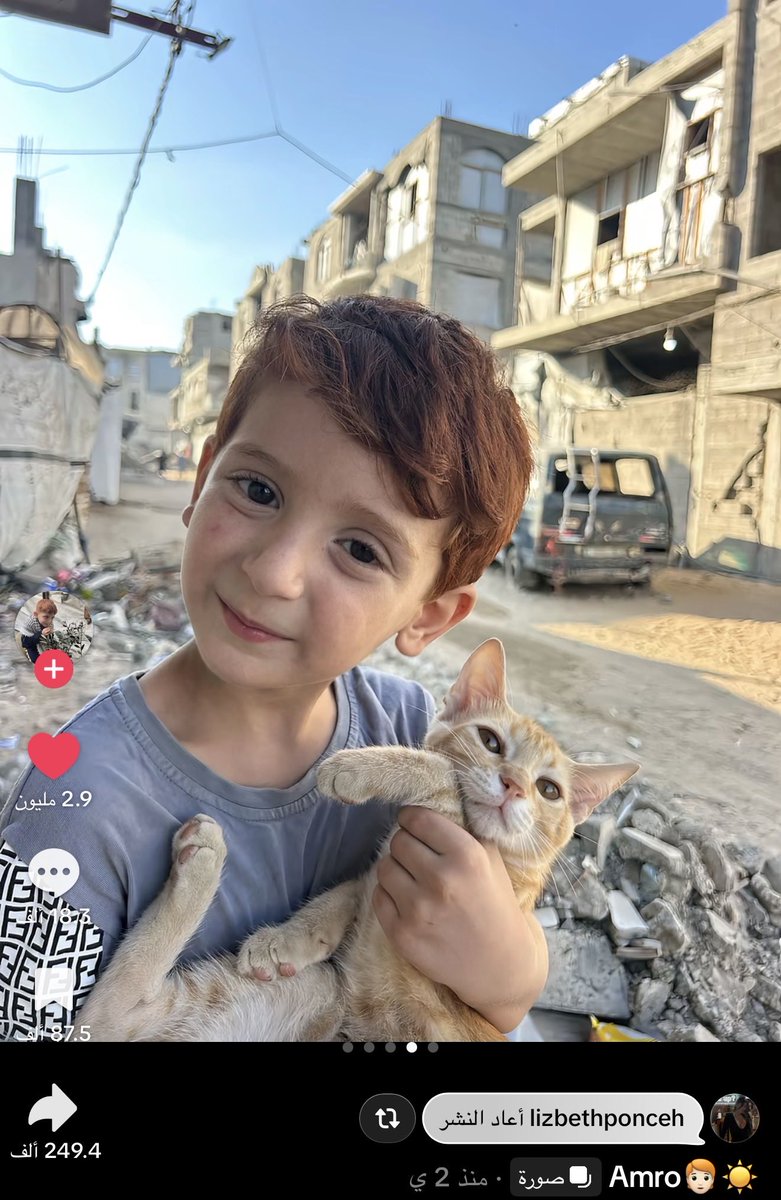 wri28t's tweet photo. من زمان ماشفت شيء بعث في داخلي الامل زي هالصور آخ ماشاء الله ☹️☹️☹️😢🧡 https://t.co/YYwcCRW59V