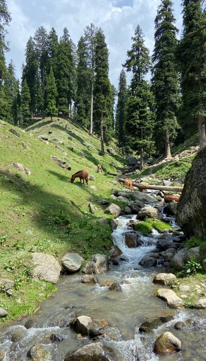 7am_reen's tweet photo. Oh, Kashmir… no matter how many times I see you, you still leave me in awe. 🤍 https://t.co/t4334Bsr0j