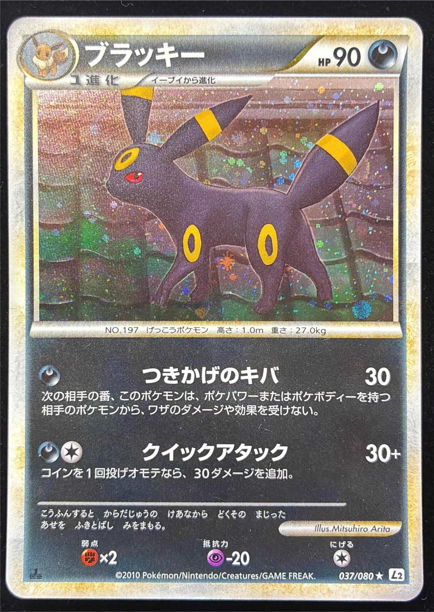 ブラッキー どんぐり HR_IZS_a0AAQL8_?format=webp&