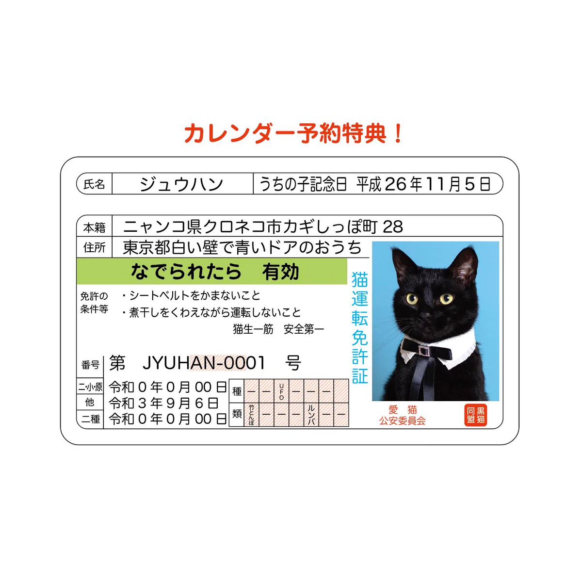 木野聡子 | Akiko Kino on X: 