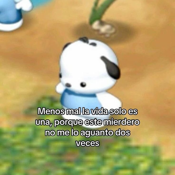 minidramatica's tweet photo. https://t.co/95MzKJ2KXa