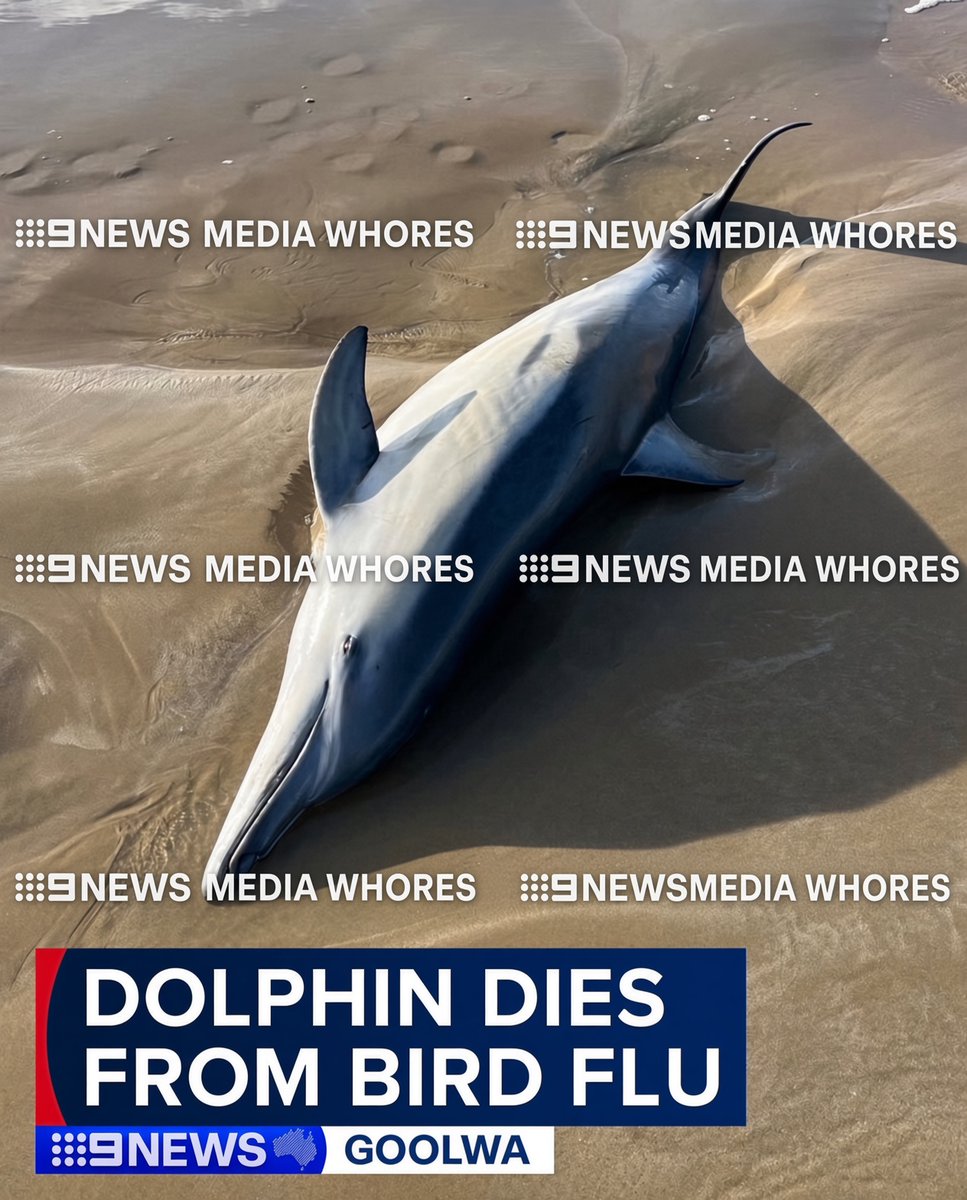 TruthHurtsNow_0's tweet photo. Rocks too @News24? #MediaWhores https://t.co/6zPC3kpUgk