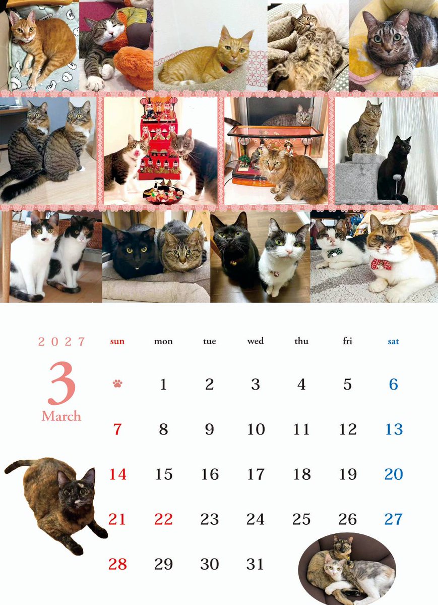 nyankonokai1's tweet photo. 2027年　保護猫チャリティーカレンダー　発売開始
ご購入はこちらから https://t.co/2Elj2Yf3vk
収益はすべて保護猫たちの医療費となります https://t.co/7RgKzUDQlZ