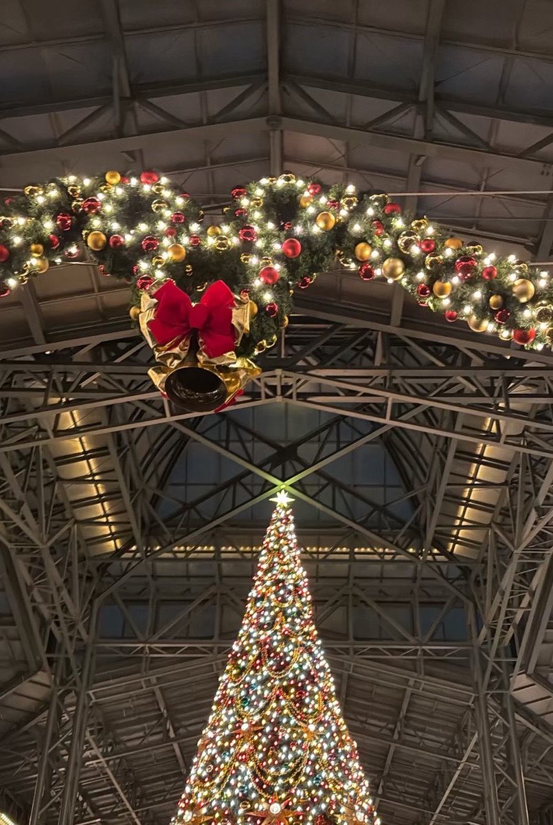 y8dtti8's tweet photo. 去年はクリスマスディズニー❣️
3回目のクリスマスはなにして過ごそうか😀 https://t.co/YOYLVSUl38
