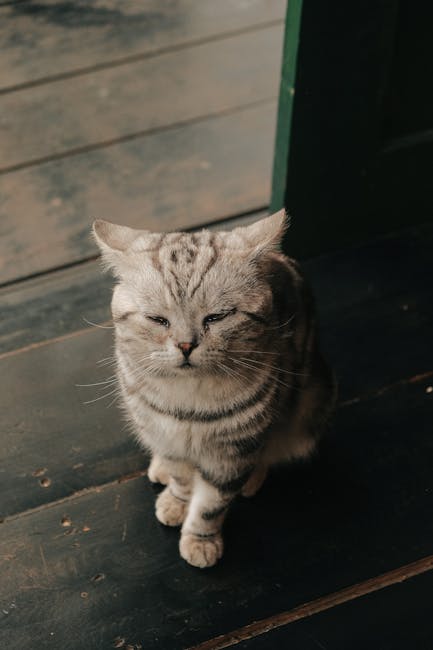 JeniferEmeow's tweet photo. الحياة أجمل تصبح الحياة يبني عندما العلاقة الأبدية في لحظة صمت. season tersigni https://t.co/mevu1IuLts