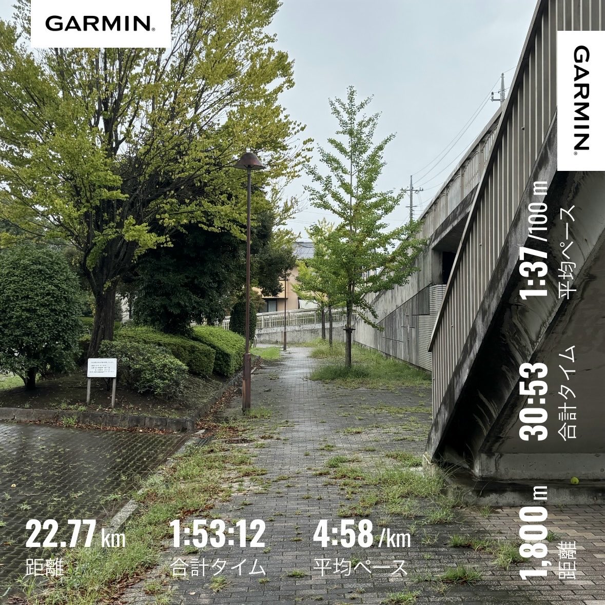 swimming_jp's tweet photo. 9/5 スイム🏊‍♂️5300m
9/6 トレミ18km🏃
9/7 スイム🏊‍♂️4200m
9/9 スイム🏊‍♂️4800m
9/10 朝ラン22km🏃
9/11 スイム🏊‍♂️1800m

10日は前日のプールでのイライラ発散😤20km走ると雨と汗でインソールが捲れる😅 連日の雨が恨めしい。
今シーズンは30km以上㌔5分以内を目標にします💪
https://t.co/YUkwg8LnAg https://t.co/5SCTGGbHXB