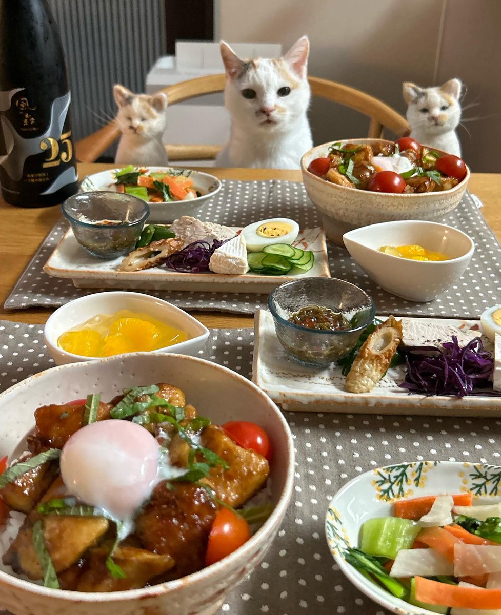 RickiSchlevs's tweet photo. 自分と���う器が満たされる感覚を、最近は忘れていました。みなさんは、心から安らぐ時間をどうやって作っていますか。 https://t.co/oUx0gxuTa2