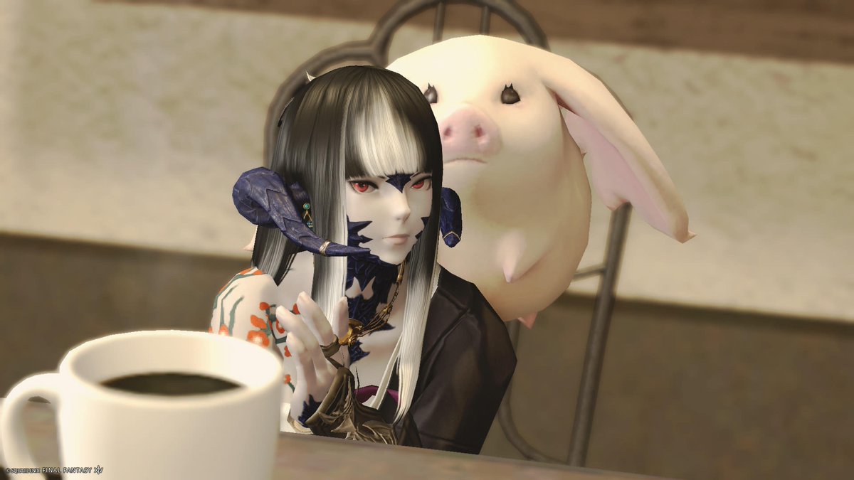 Luna_arkFF14's tweet photo. 昨日のお客様たち
#FC_SOLA https://t.co/5wkO45ICdS