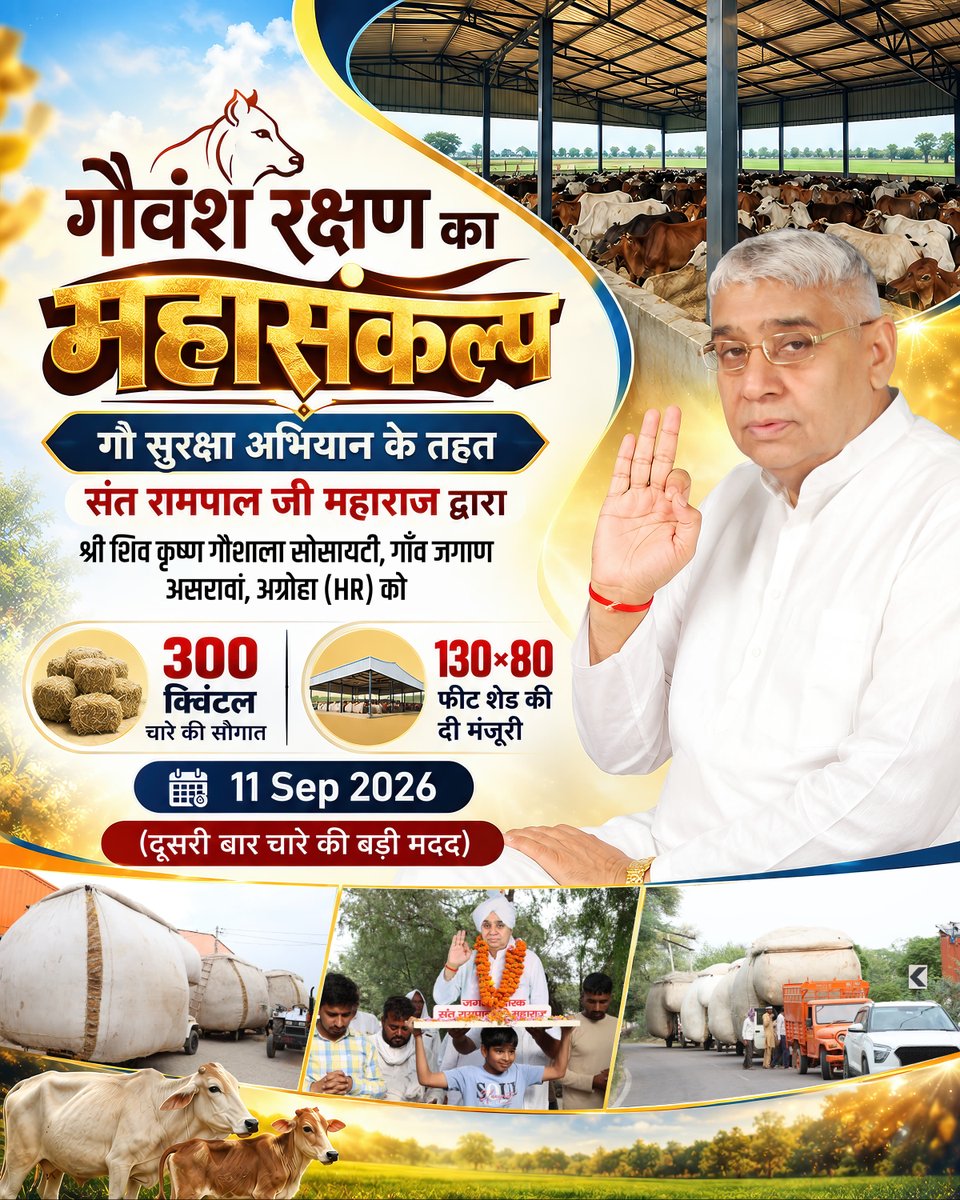 SatlokChannel's tweet photo. जीव दया का अनुपम उदाहरण गौ सुरक्षा अभियान के तहत संत रामपाल जी महाराज द्वारा श्री शिव कृष्ण गौशाला सोसायटी, गाँव जगाण असरावां, अग्रोहा (HR) को 300 क्विंटल चारा भेंट व 130×80 फीट शेड किया मंजूर  11 Sep 2026 https://t.co/1ikXGedHnl