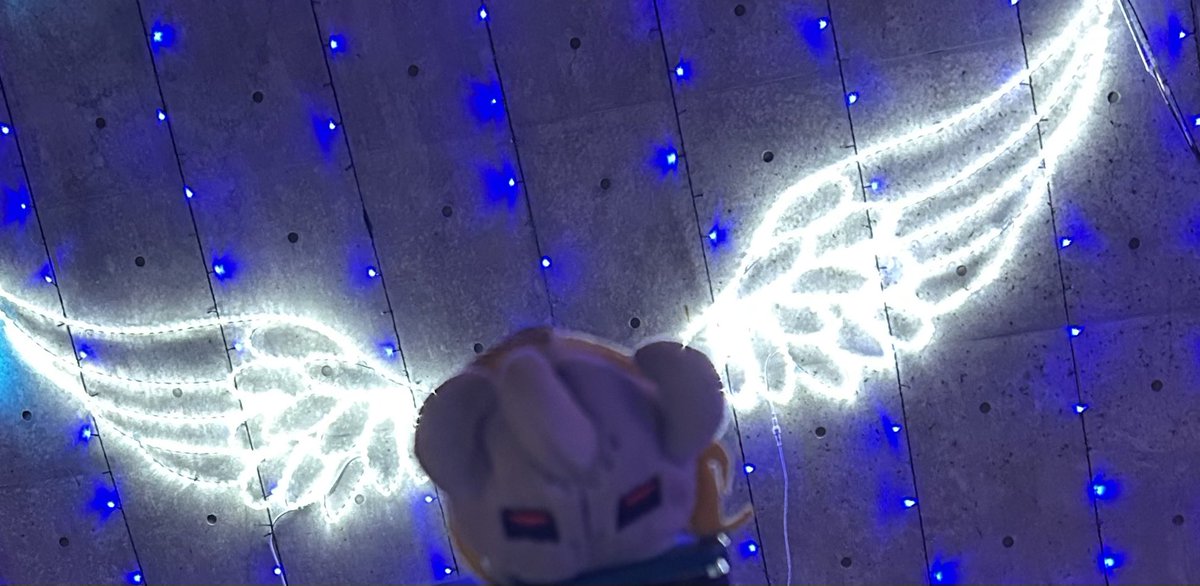 tiny_shougun's tweet photo. #ぬい撮りが楽しいモノと思えるように過去の写真をそっとあげる https://t.co/PwPRRvD7w0