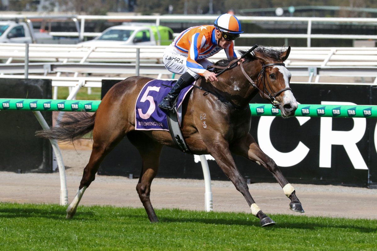 nzracingnews's tweet photo. NEWS: Lara Antipova bounced back to winning form at Flemington on Saturday and will now head to the Gr.1 Thousand Guineas (1600m). @FortunaRaces 
 
https://t.co/GO9gAlVEVJ https://t.co/wOL7wWijKj