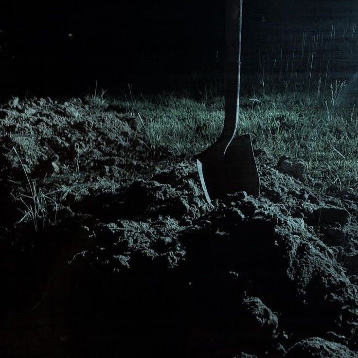 maiyareads's tweet photo. ➵ #cr: finlay donovan digs her own grave by elle cosimano https://t.co/2cmfGfoZeI