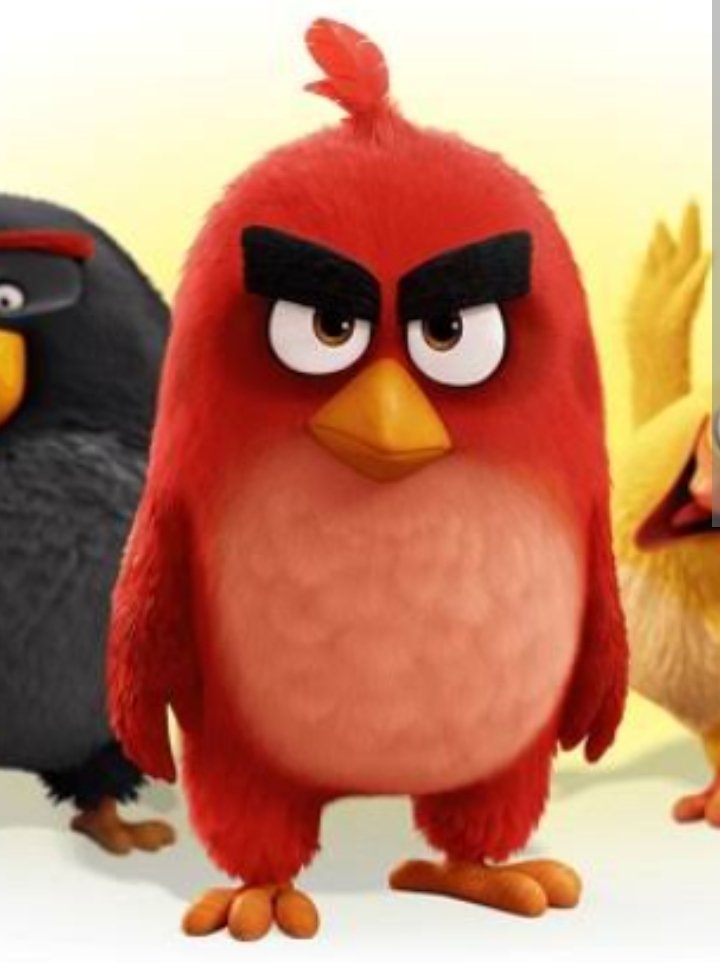 GabyellaD's tweet photo. @MarellaArt Es un pájaro cejón jajaja https://t.co/vbCe96ovmx